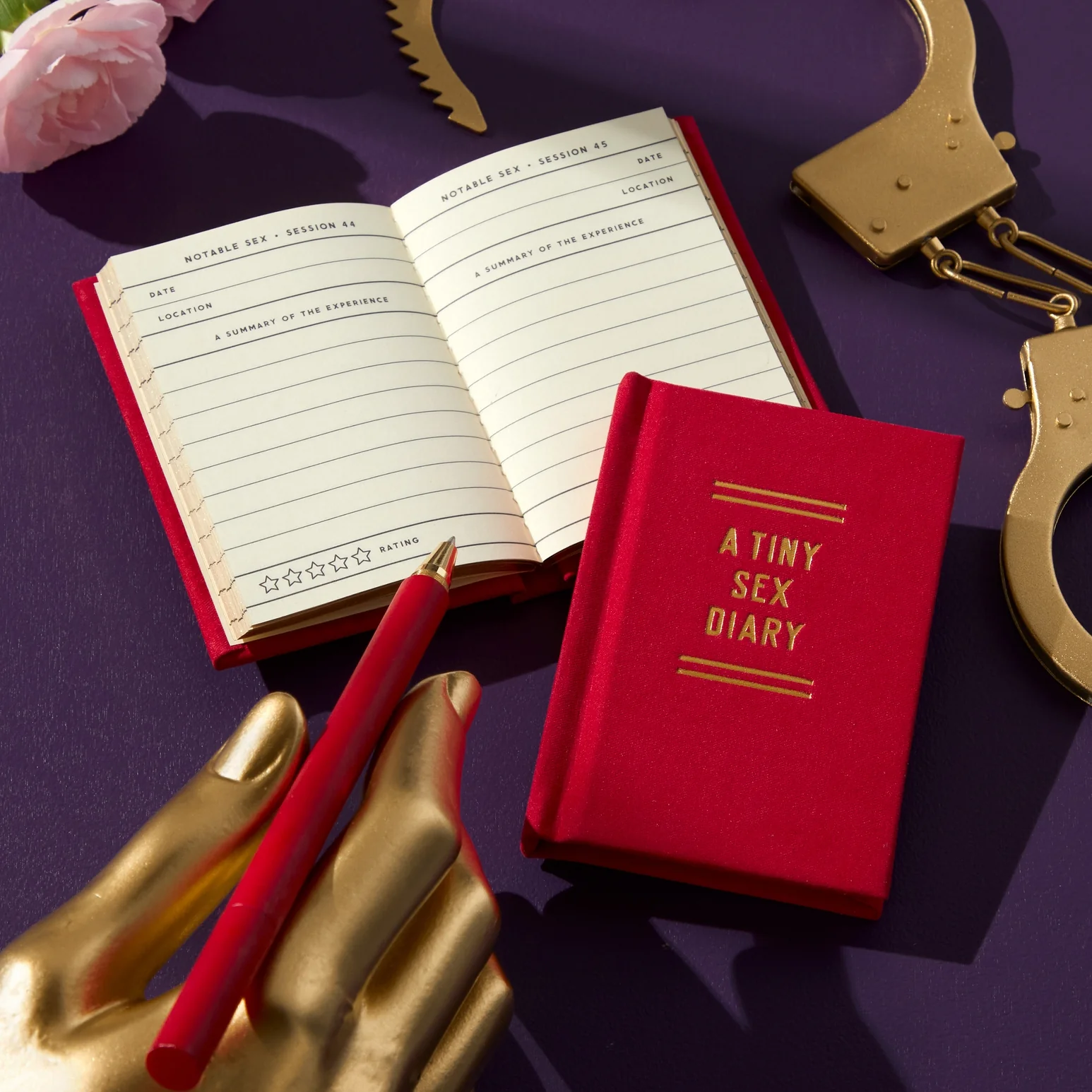 A Tiny Sex Diary - Image 7
