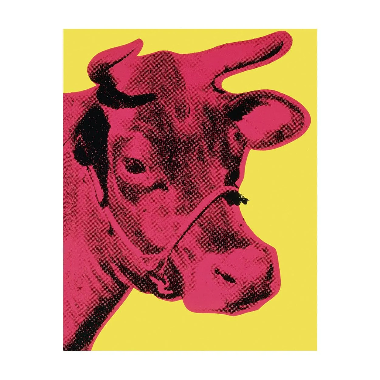 Andy Warhol Greatest Hits Keepsake Box Note Cards - Image 9