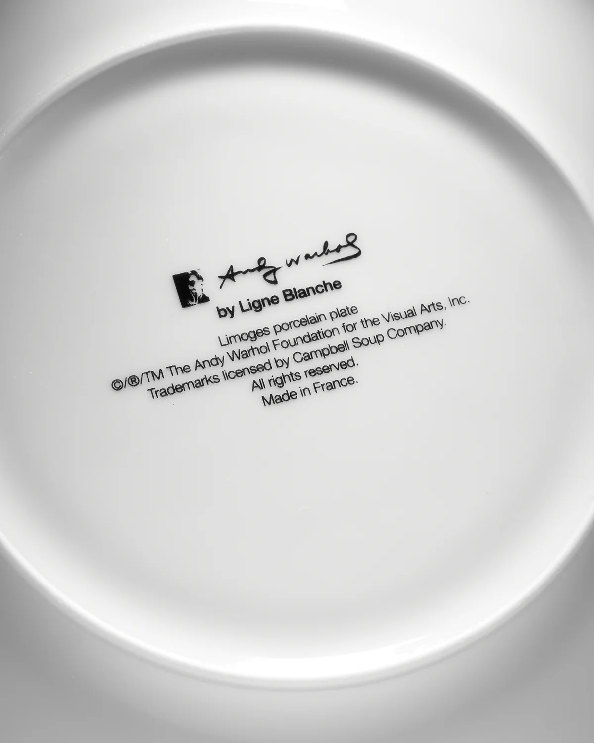 ANDY WARHOL LARGE PORCELAIN PLATE - CAMPBELL- TURQUOISE/PURPLE - Image 8