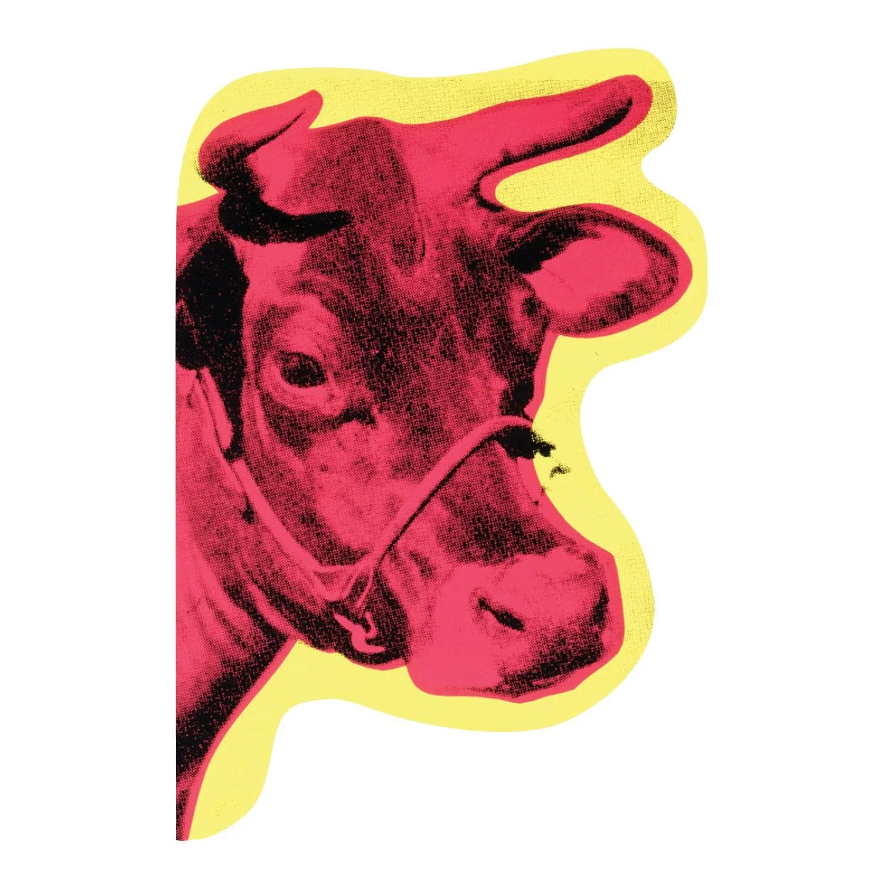 Andy Warhol Shaped Portfolio Notecards - Image 7