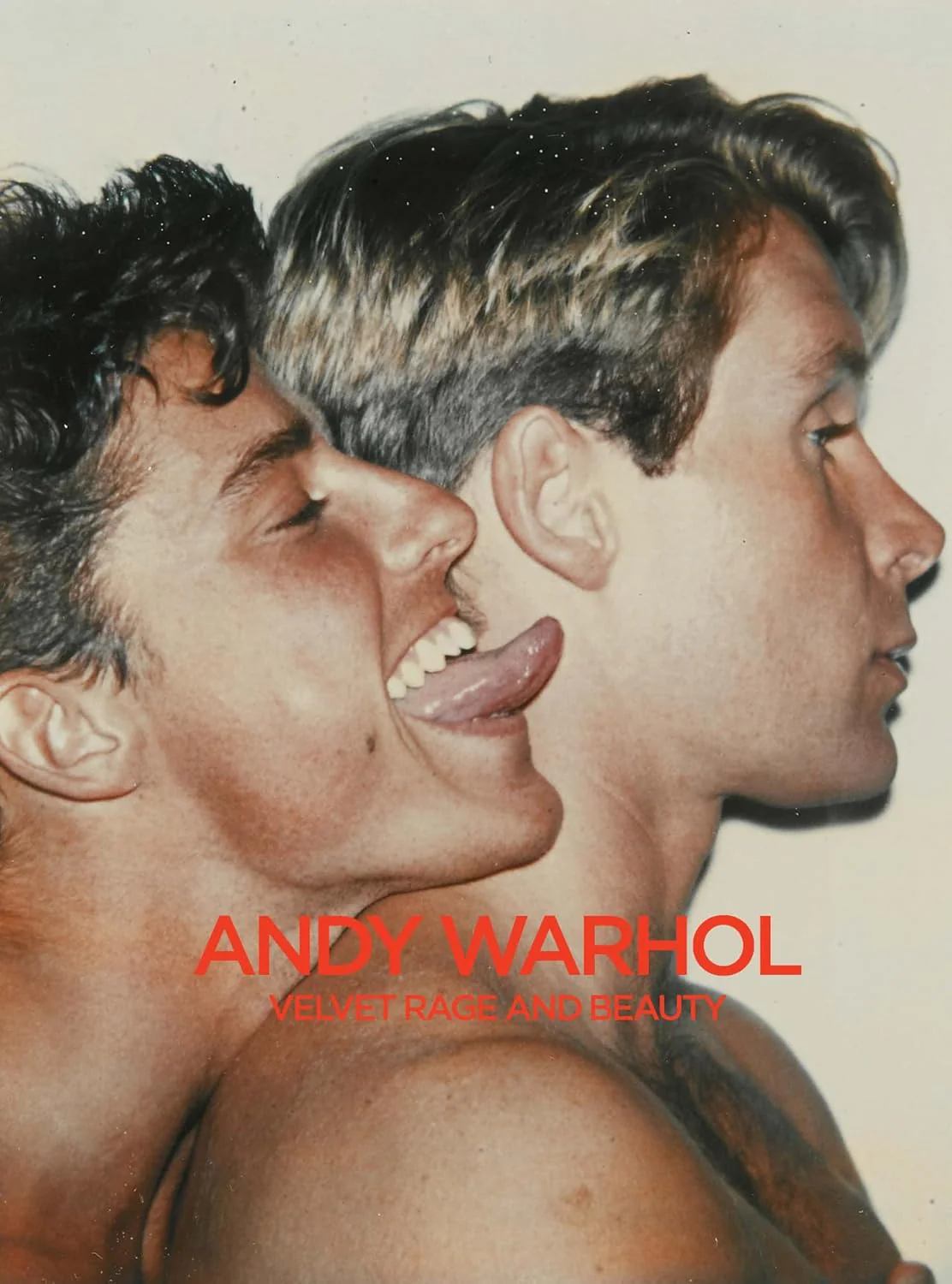 Andy Warhol: Velvet Rage and Beauty - Image 2