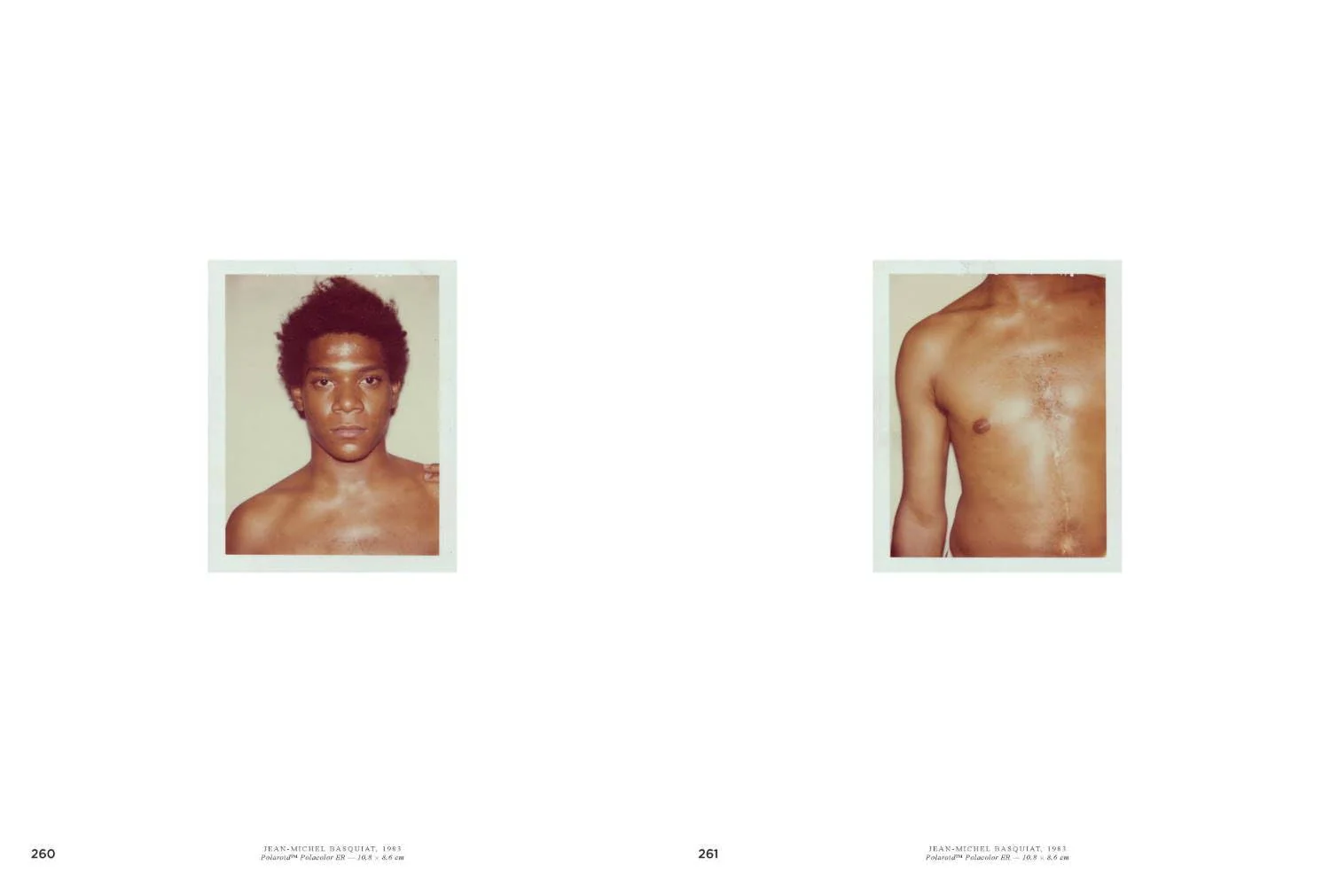 Andy Warhol: Velvet Rage and Beauty - Image 3