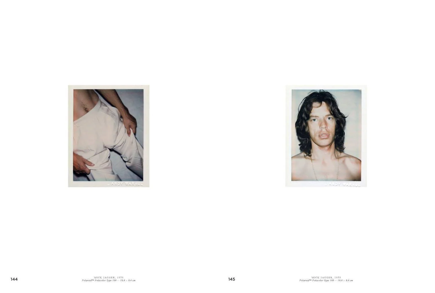 Andy Warhol: Velvet Rage and Beauty - Image 7