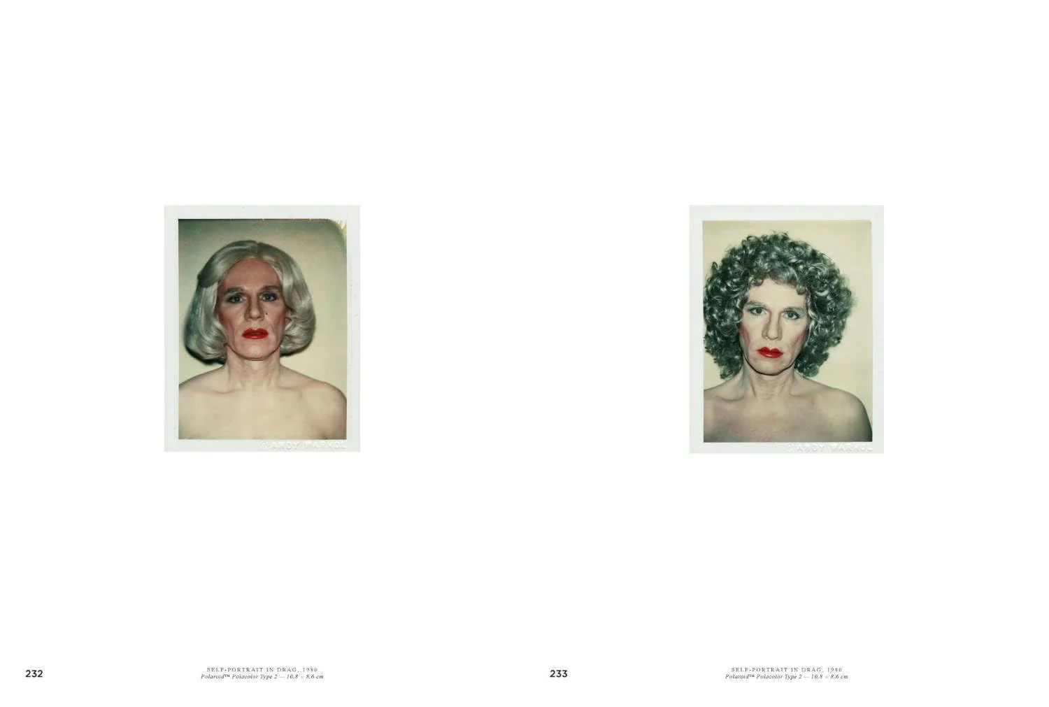 Andy Warhol: Velvet Rage and Beauty - Image 8