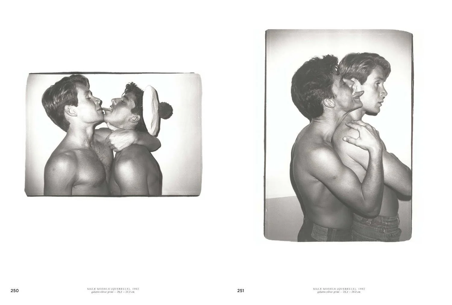 Andy Warhol: Velvet Rage and Beauty - Image 9