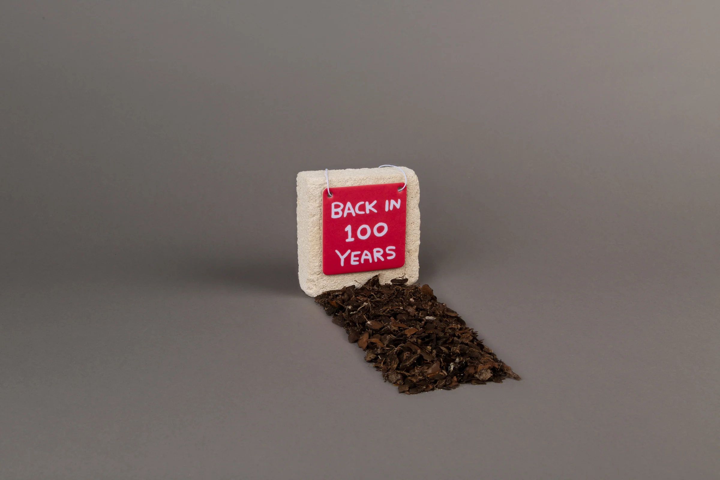 Back In 100 Years Air Freshener Third Drawer Down X David Shrigley - Image 3