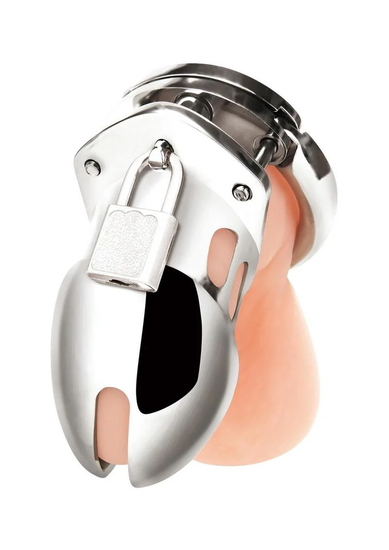 Blue Line Cock Humiliation Chastity Cage - Small 2.75in - Stainless Steel - Image 2