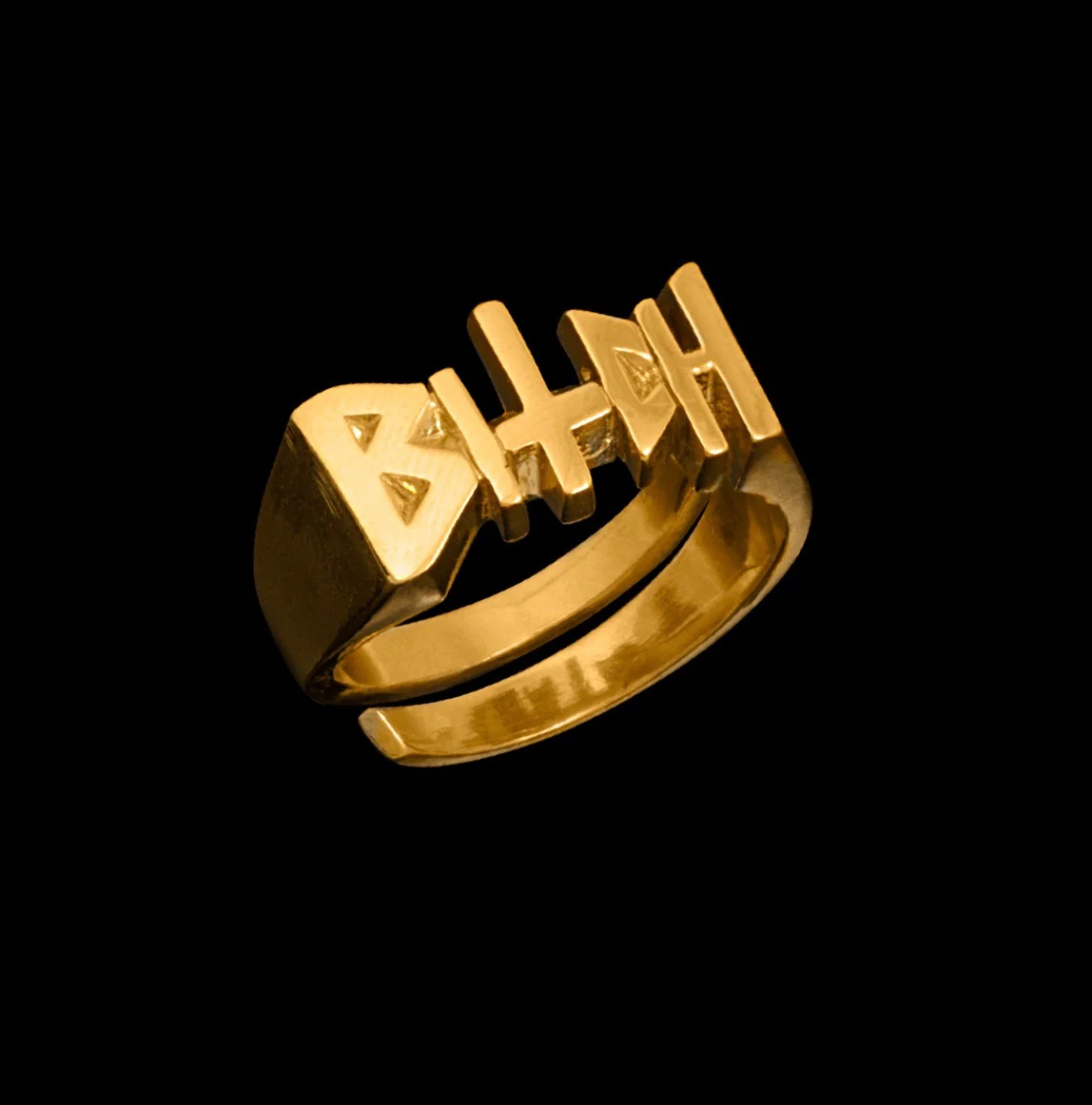 Bruce LaBruce Bitch Ring by Jonathan Johnson - Image 5