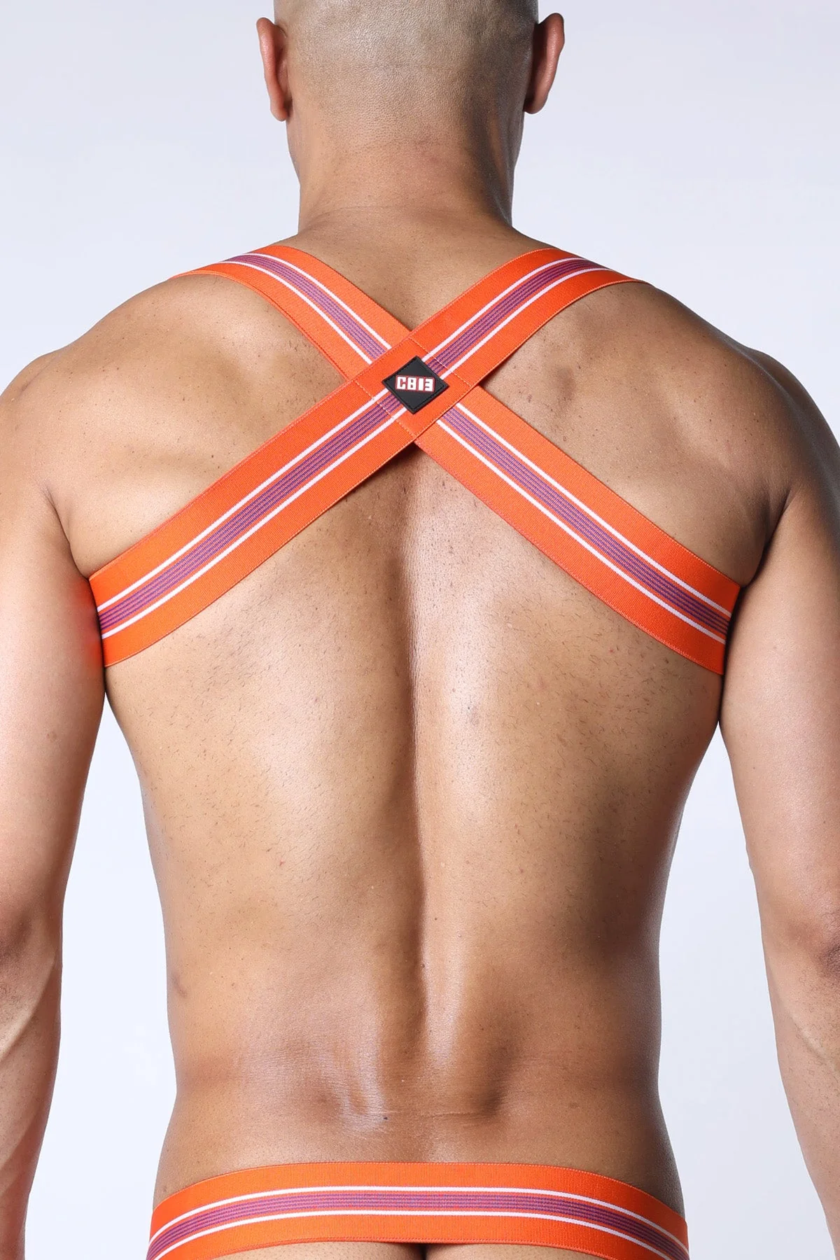 CELLBLOCK 13 Tight End Elastic Harness - Orange - Image 2