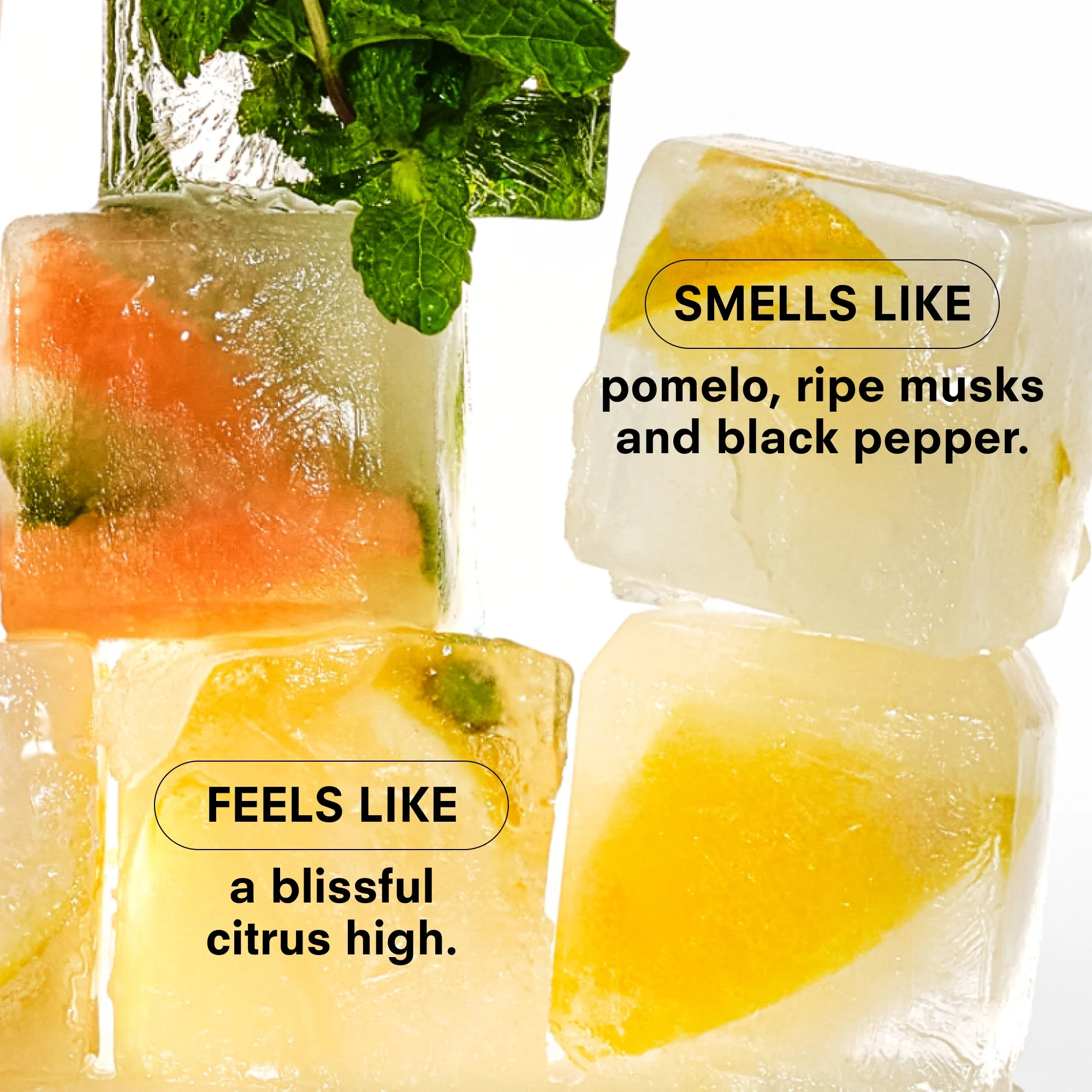 CITRUSH Fragrance by Boy Smells - Image 5