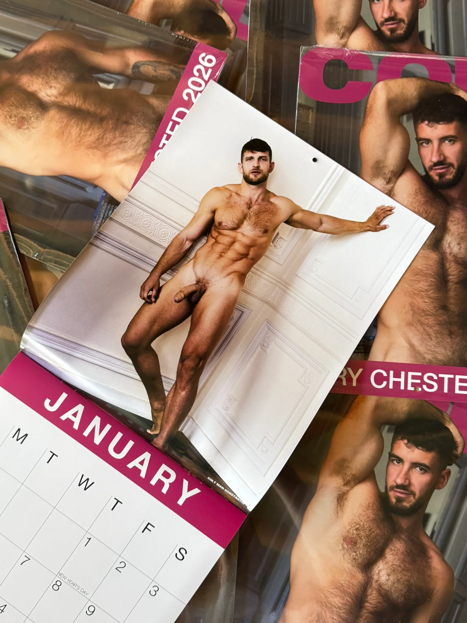 COLT HAIRY CHESTED 2026 CALENDAR - Image 3
