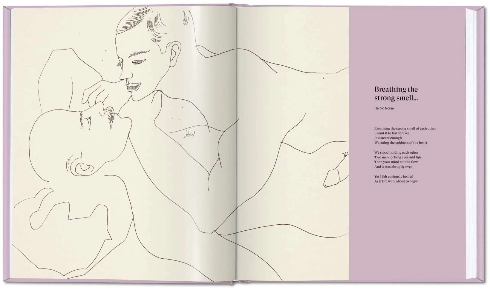 Andy Warhol. Love, Sex, and Desire. Drawings 1950–1962 - Image 10