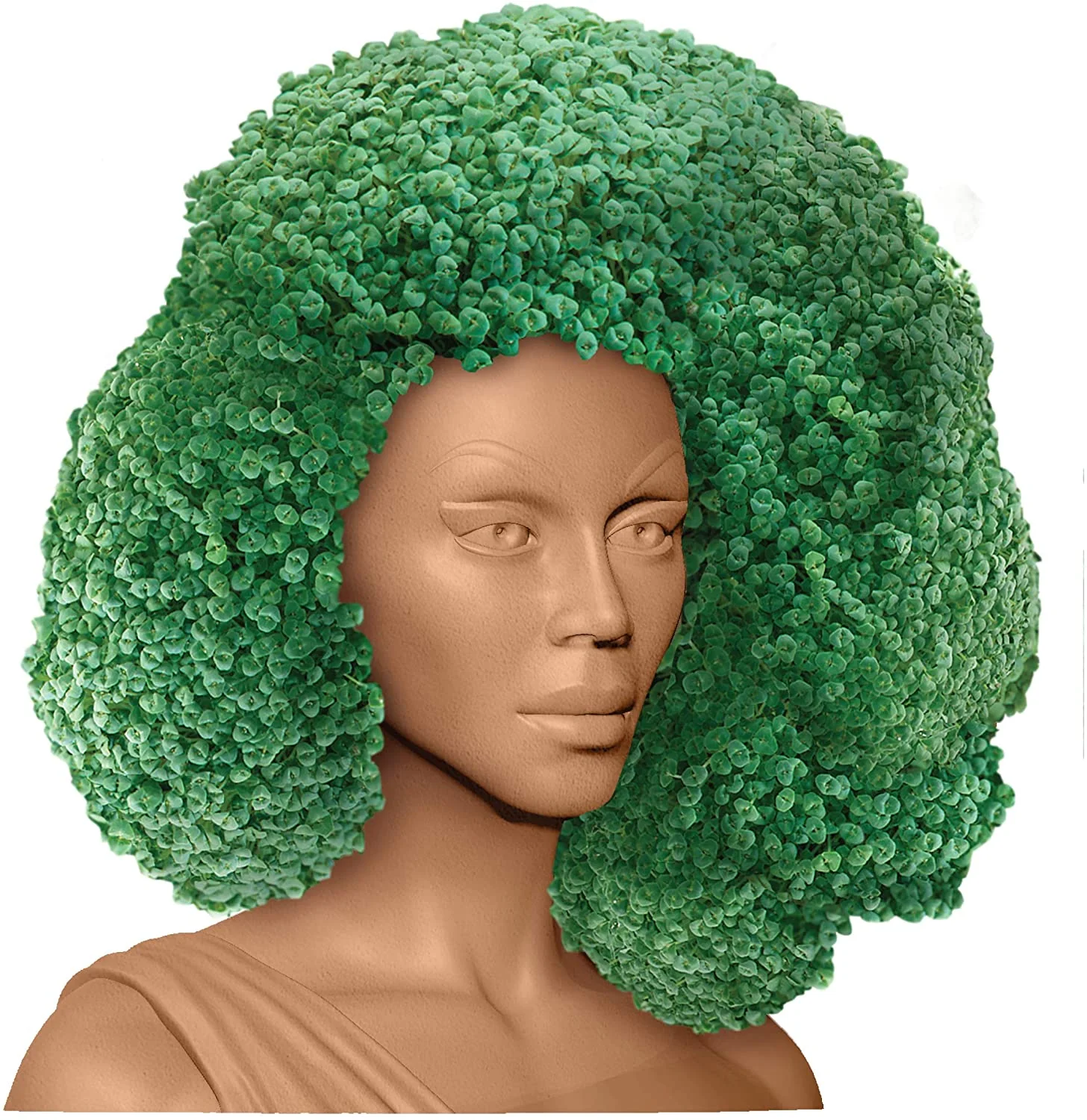 RUPAUL CHIA PET - Image 11