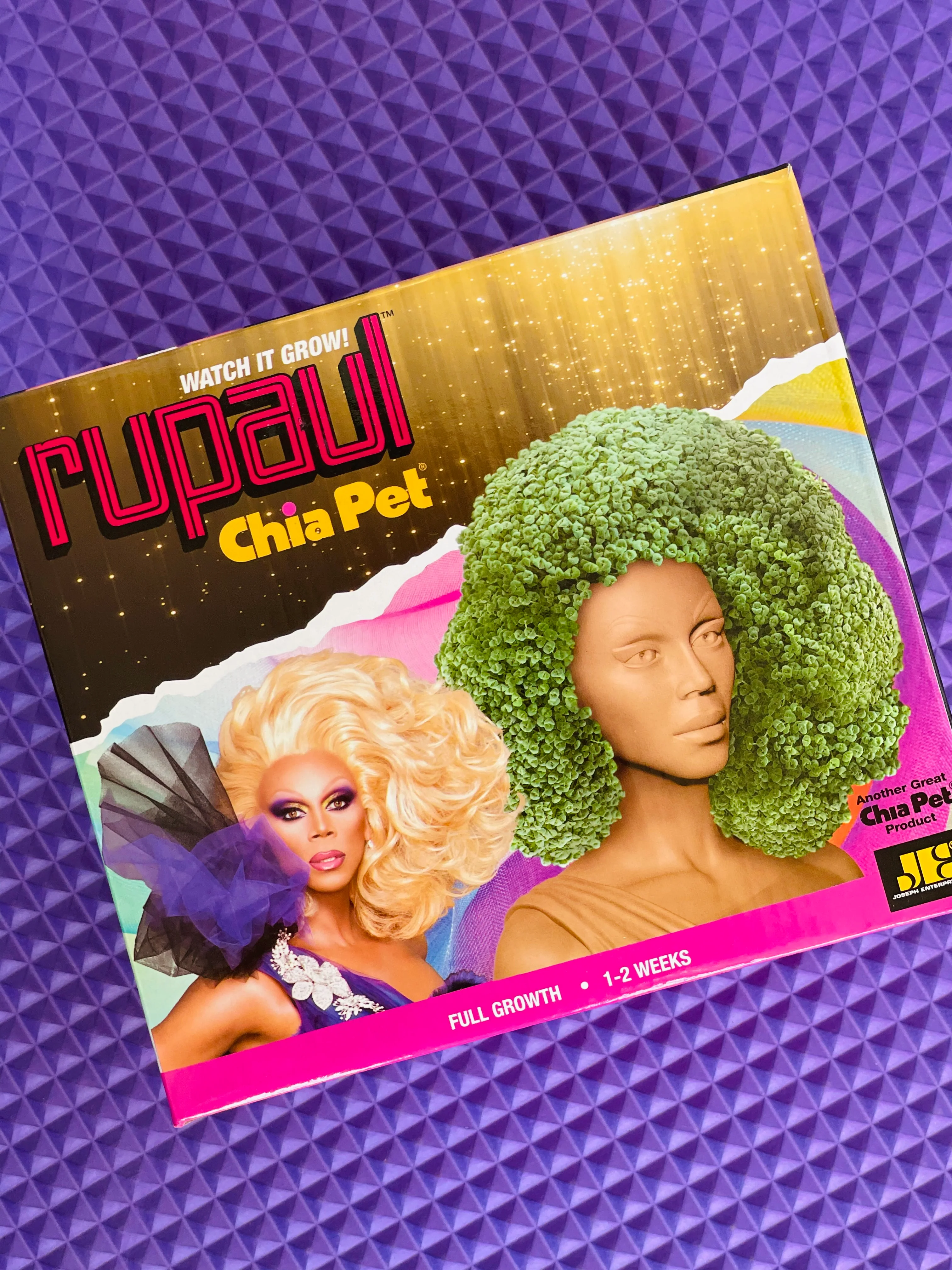RUPAUL CHIA PET - Image 3