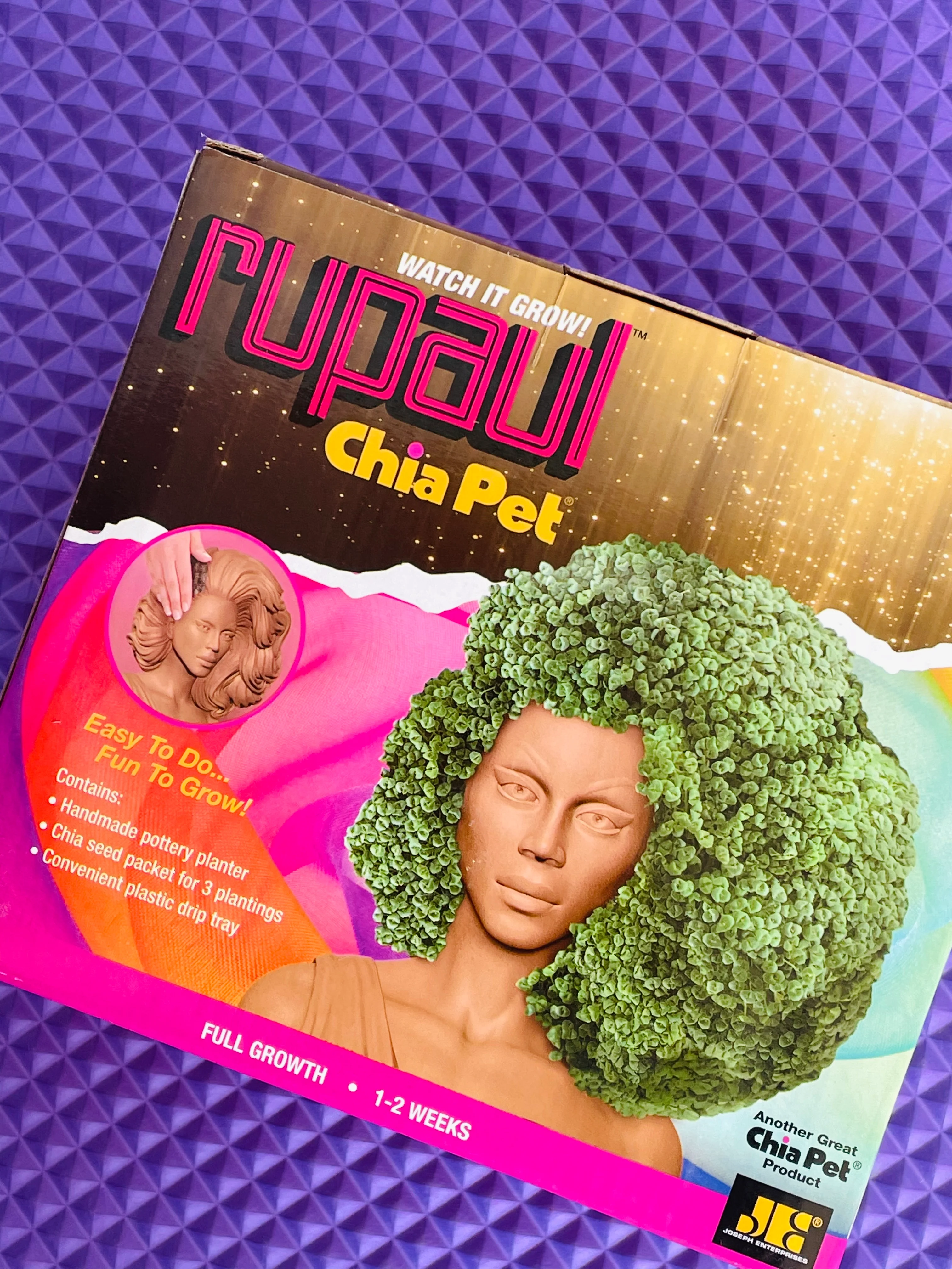 RUPAUL CHIA PET - Image 4