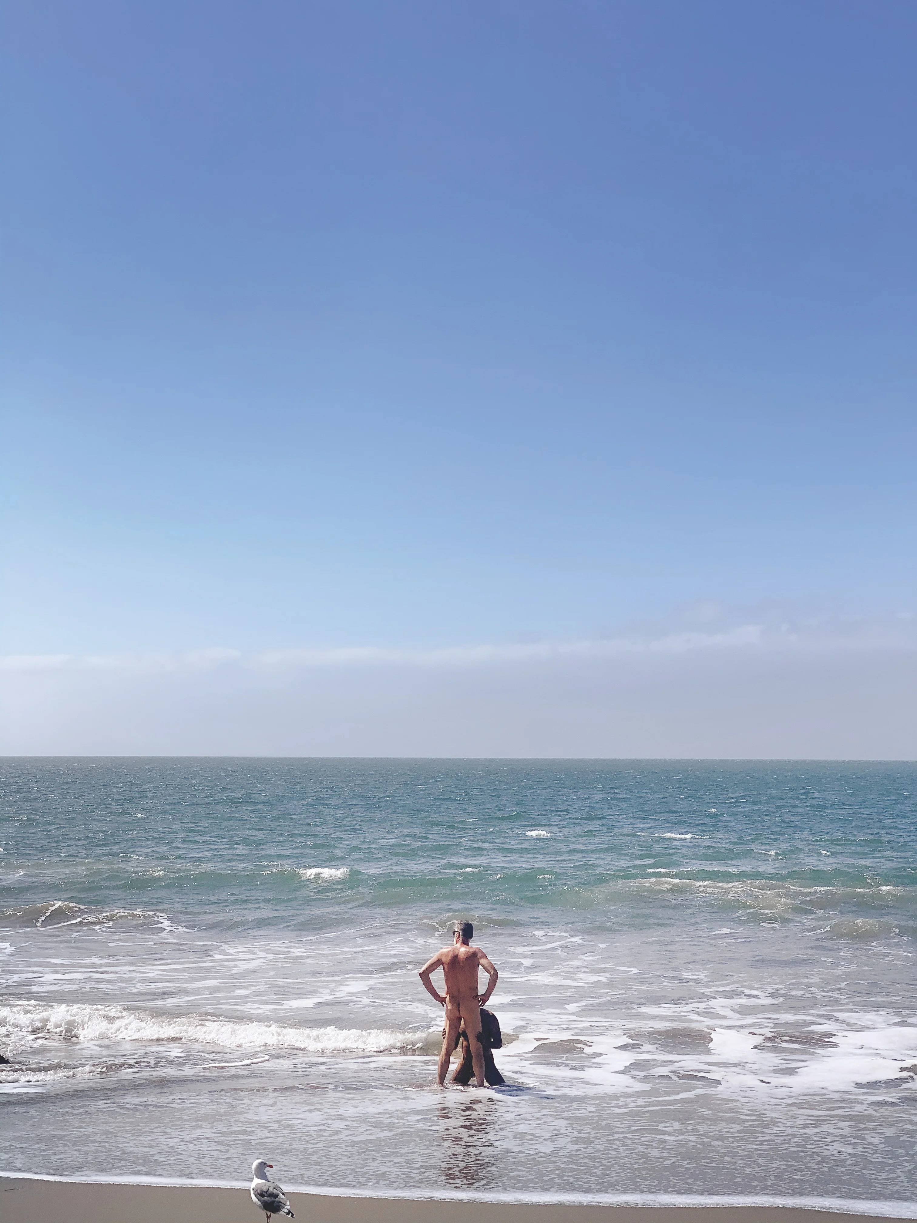 Daniel Case, Bird Watch, 2019