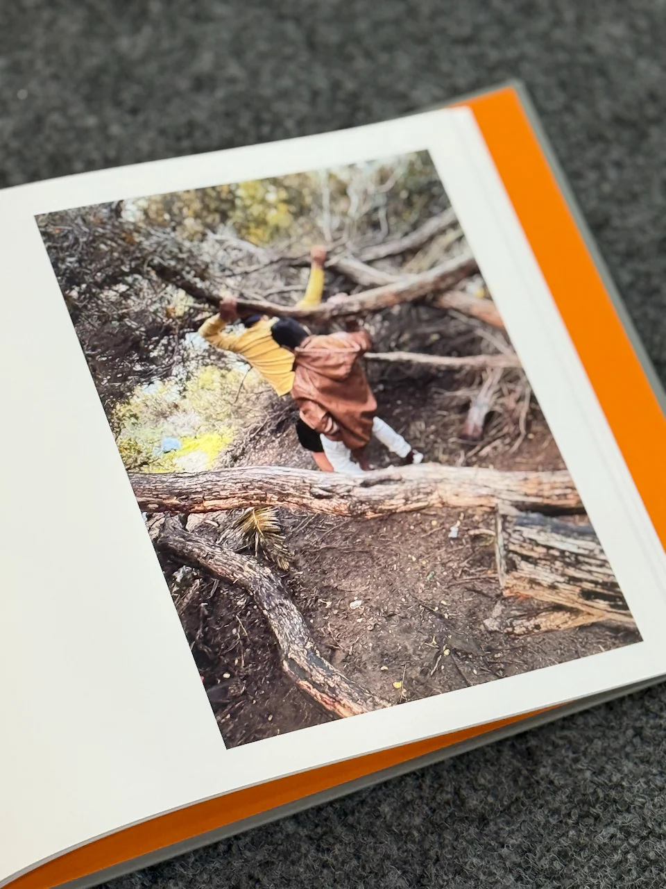 Daniel Case: Outside Sex - Image 6