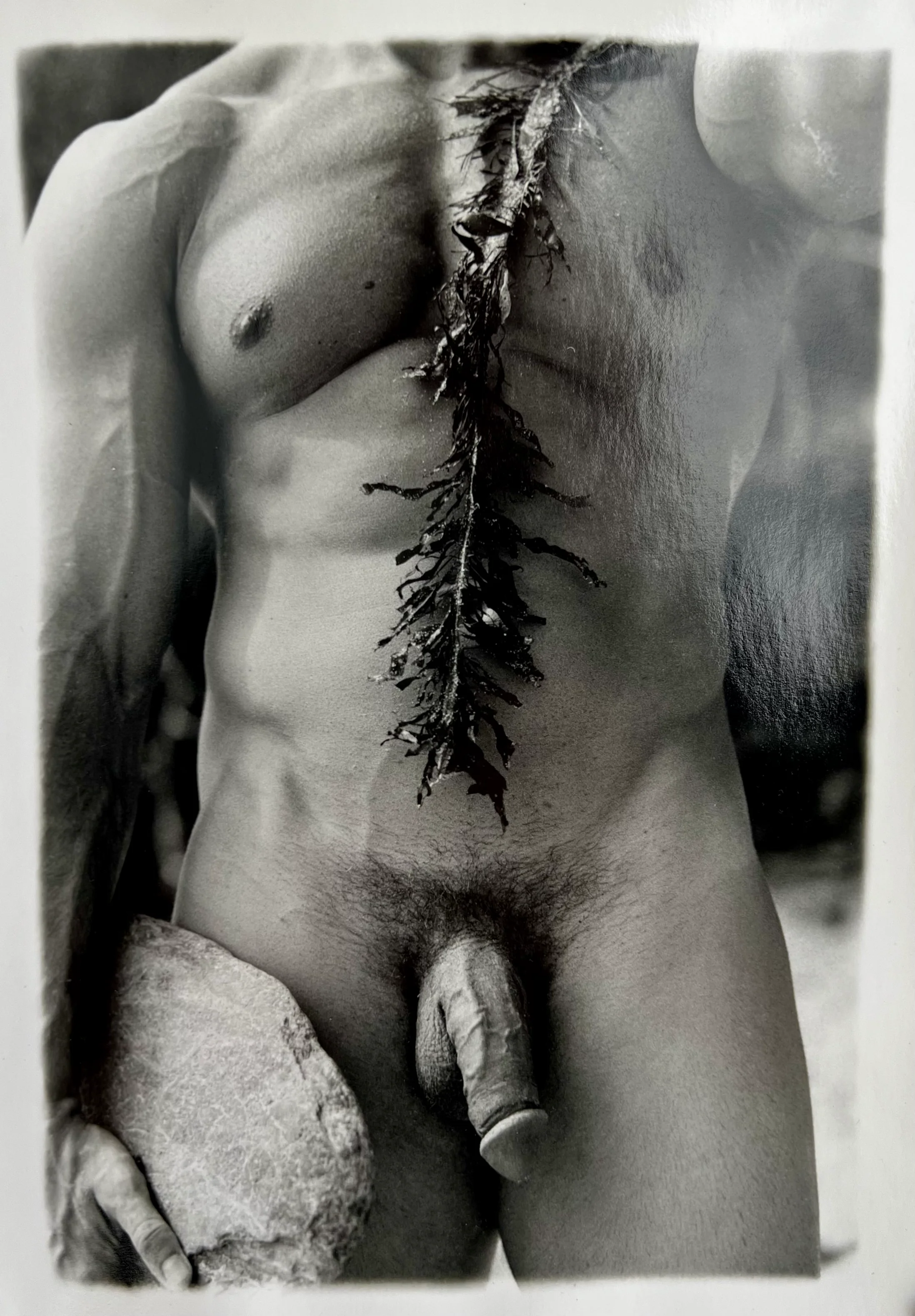 Dmitry Maximov #2