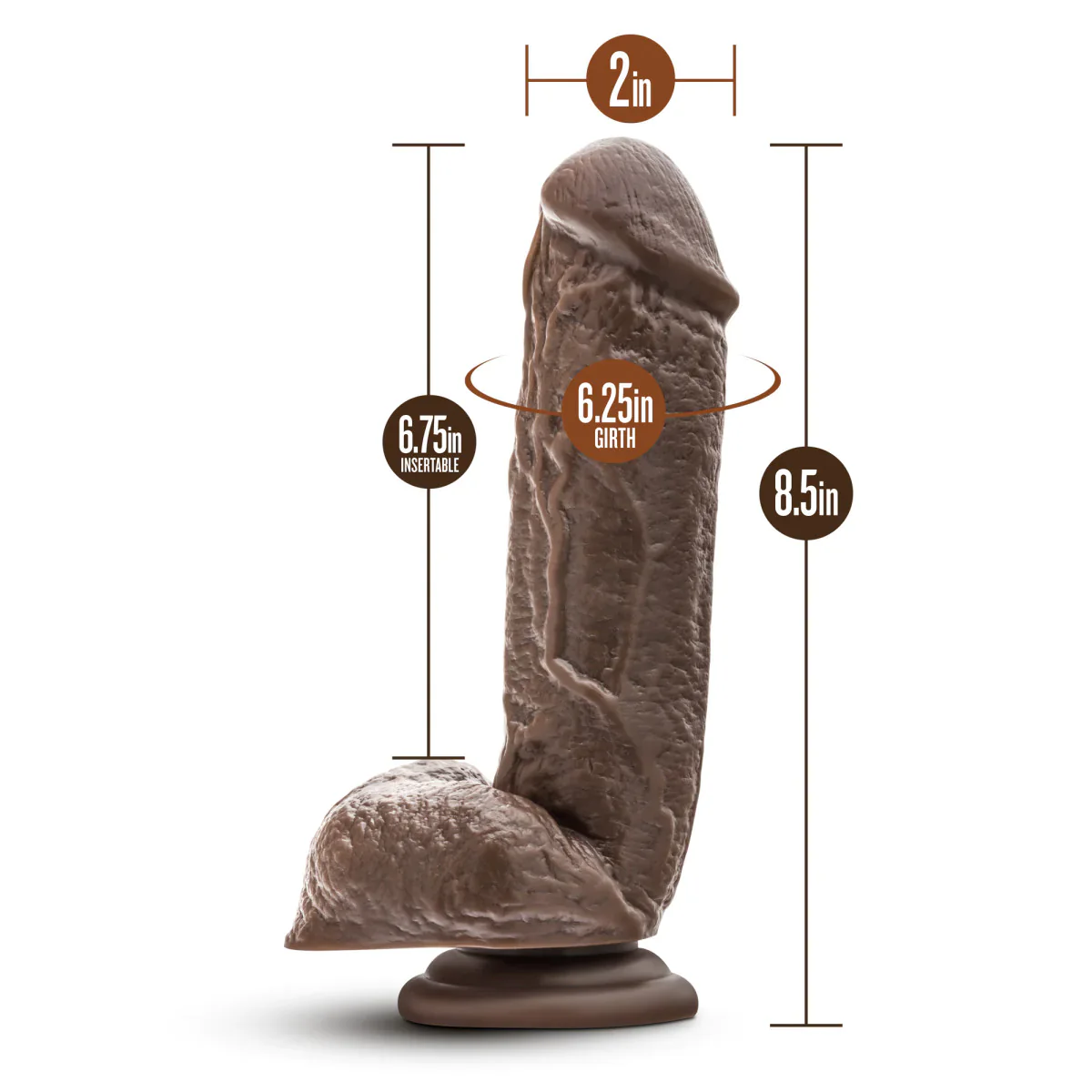 Dr. Skin Mr. D Realistic Chocolate 8.5-Inch Long Dildo - Image 2