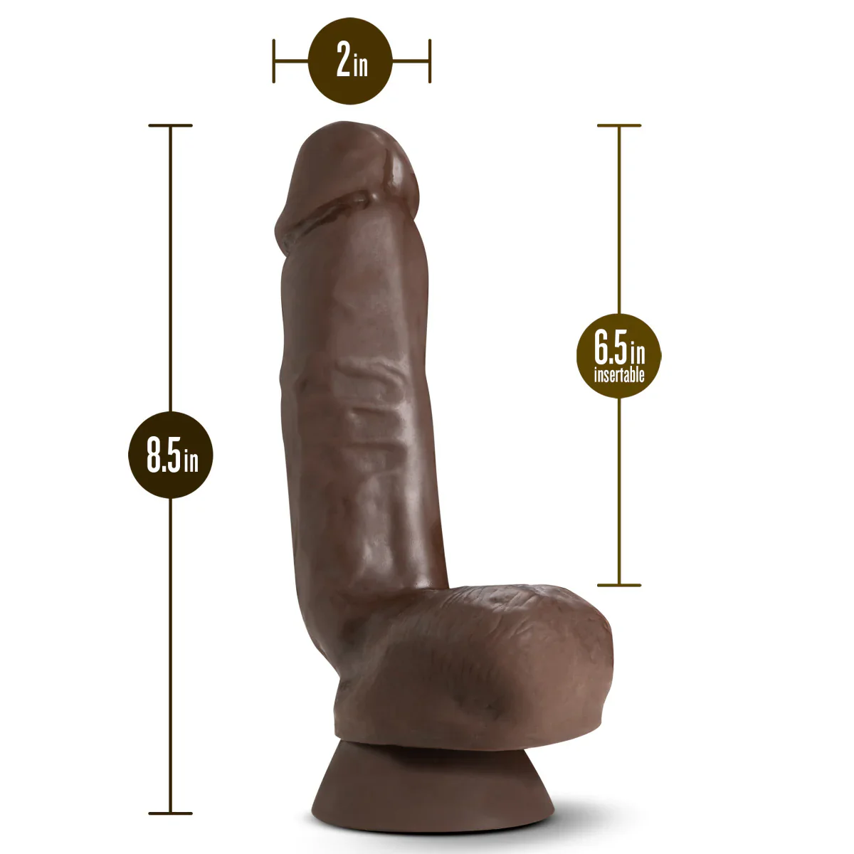 Dr. Skin Plus Realistic Chocolate 8.5-Inch Long Dildo - Image 2