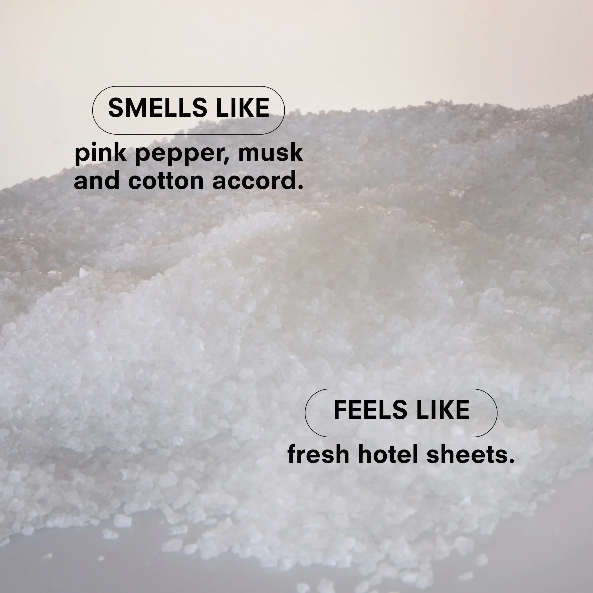 DYNASTY SALT by BOY SMELLS - Image 3