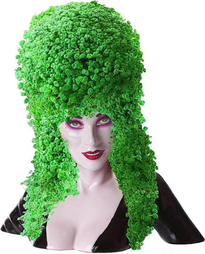 ELVIRA CHIA PET - Image 3