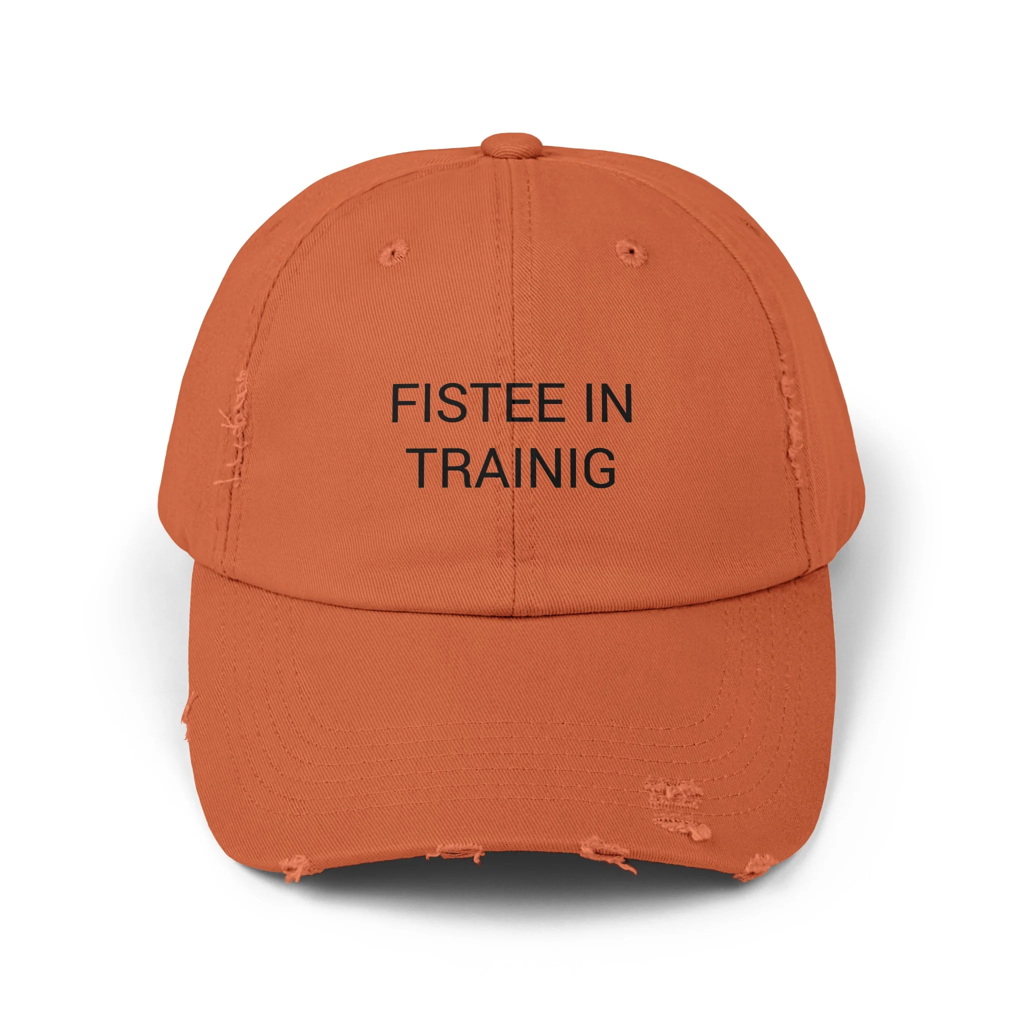 FISTEE IN TRAINING Distressed Cap in 6 colors - Image 2