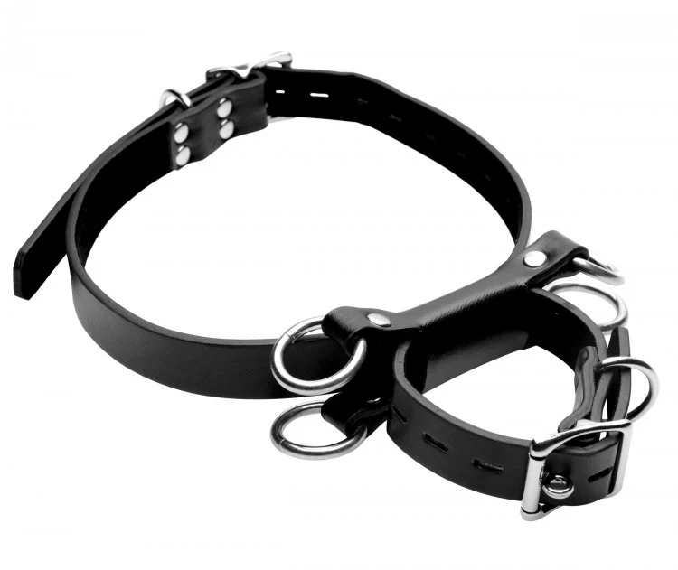 Frog Tie Kneeling Bondage Restraint System  by Strict Leather - Image 4