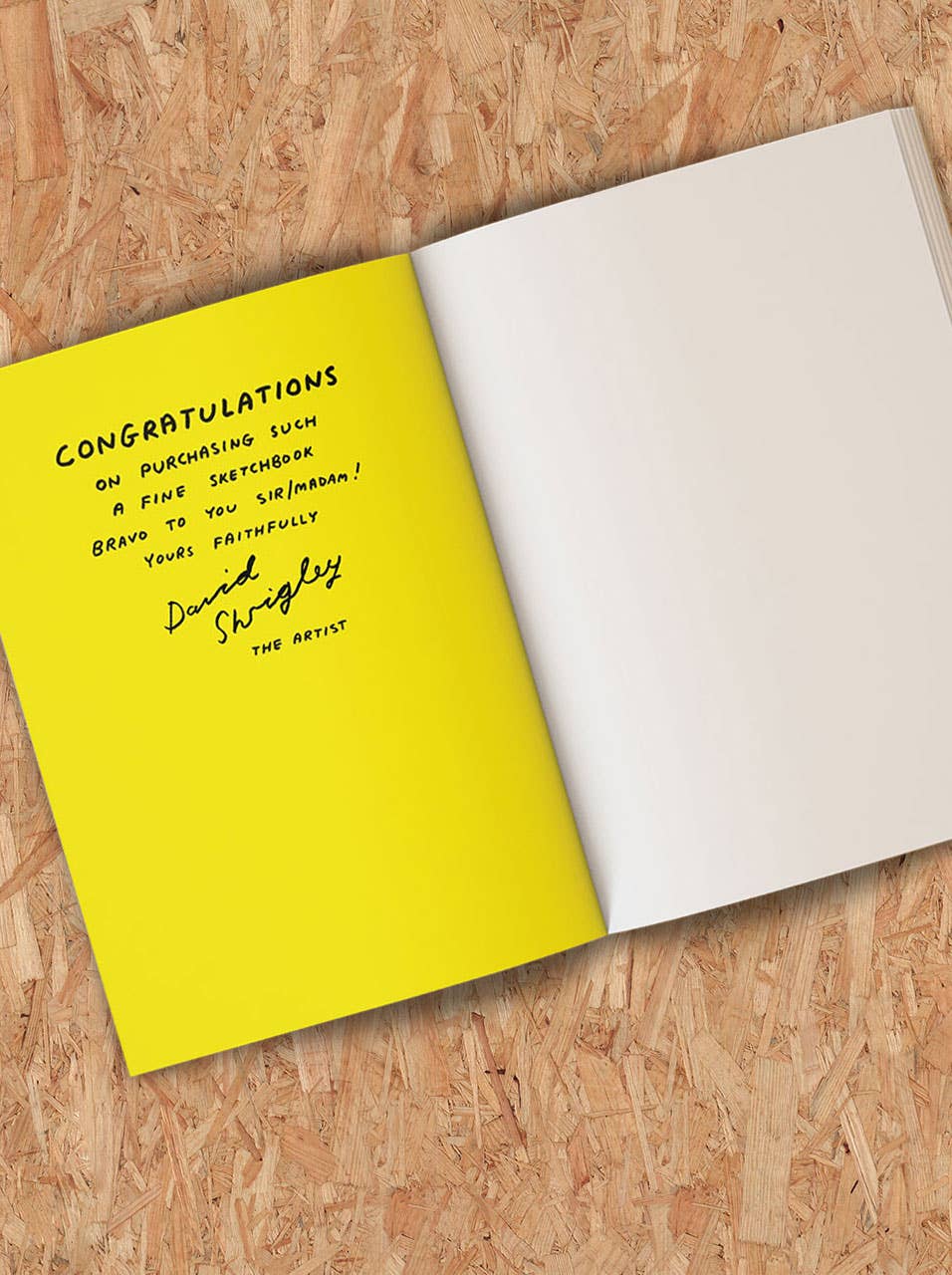 Art Save The World Sketchbook by David Shrigley - Image 3