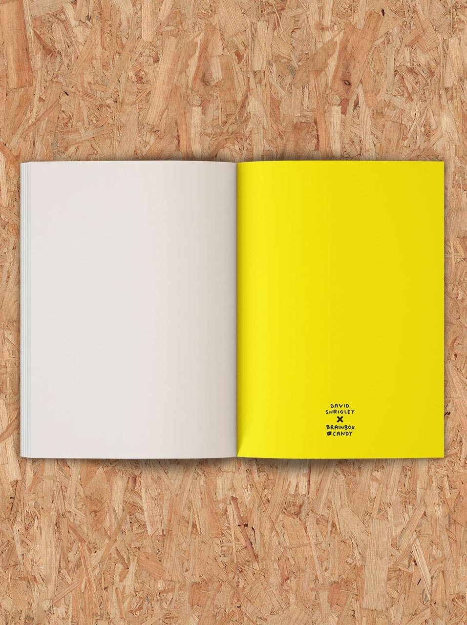 Be An Artist Sketchbook by David Shrigley - Image 4