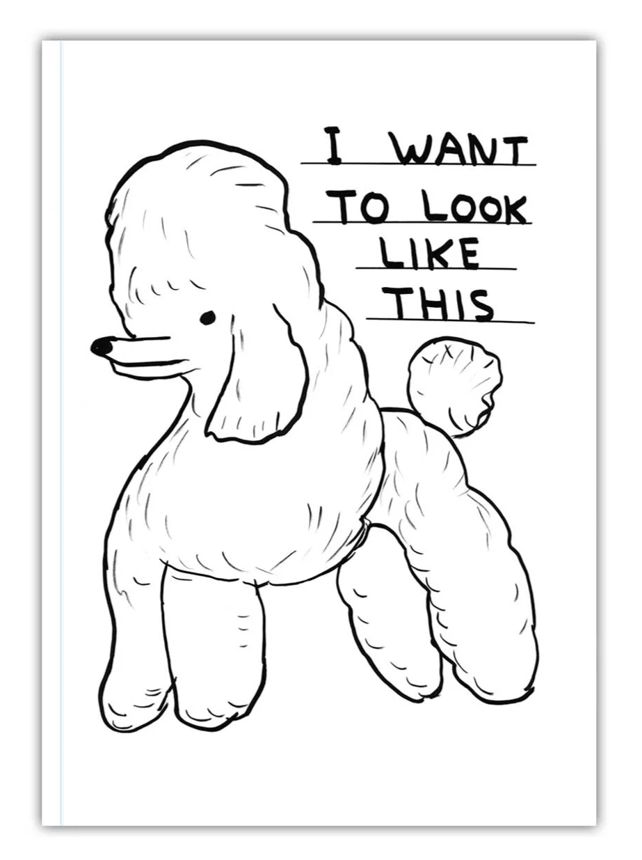 David Shrigley A6 Notebook - Look Like This