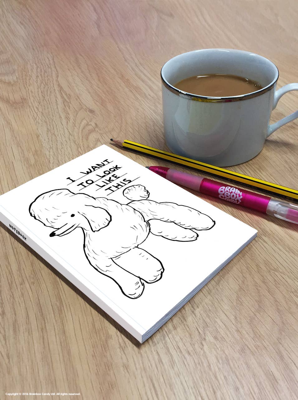 David Shrigley A6 Notebook - Look Like This - Image 2