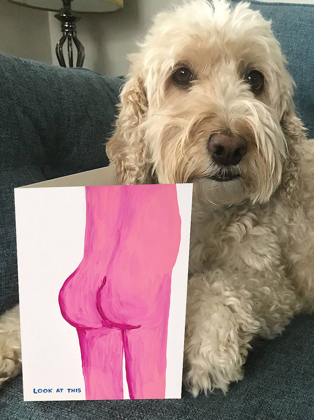 David Shrigley Greeting Card - Look At This Bum - Image 6