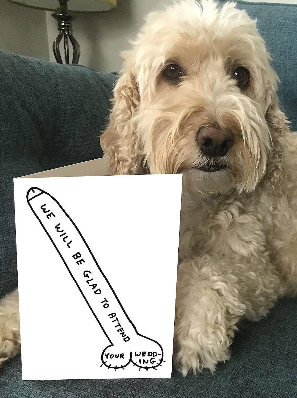 David Shrigley Greeting Card - Wedding Acceptance Card - Image 6