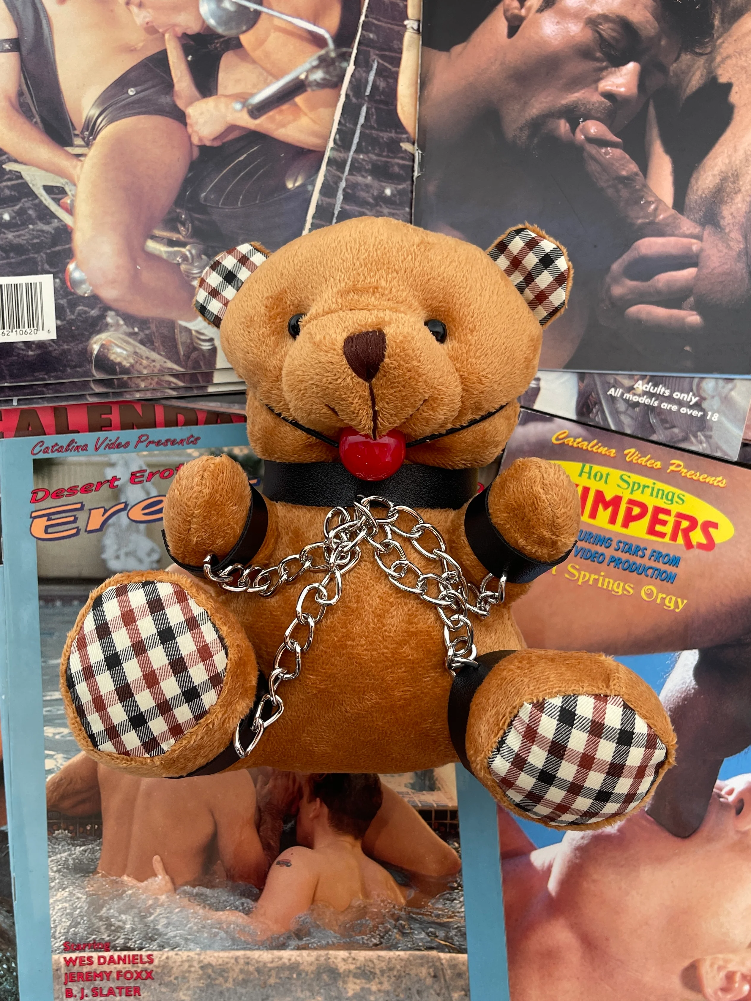 GAGGED TEDDY BEAR PLUSH - Image 2