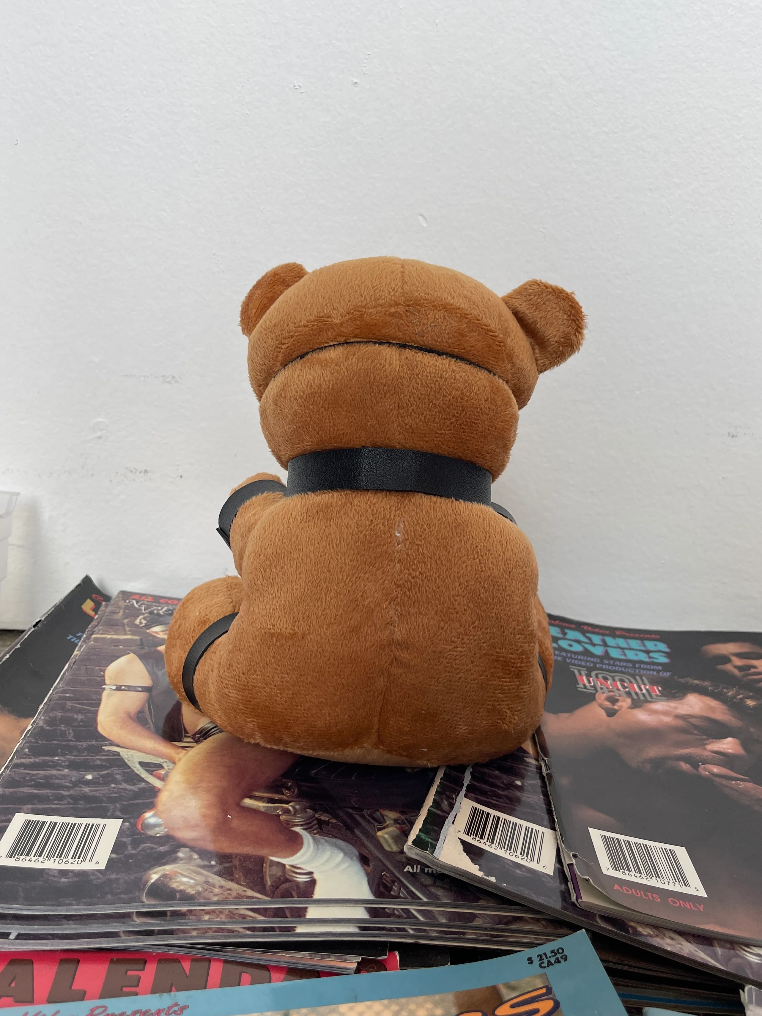GAGGED TEDDY BEAR PLUSH - Image 3