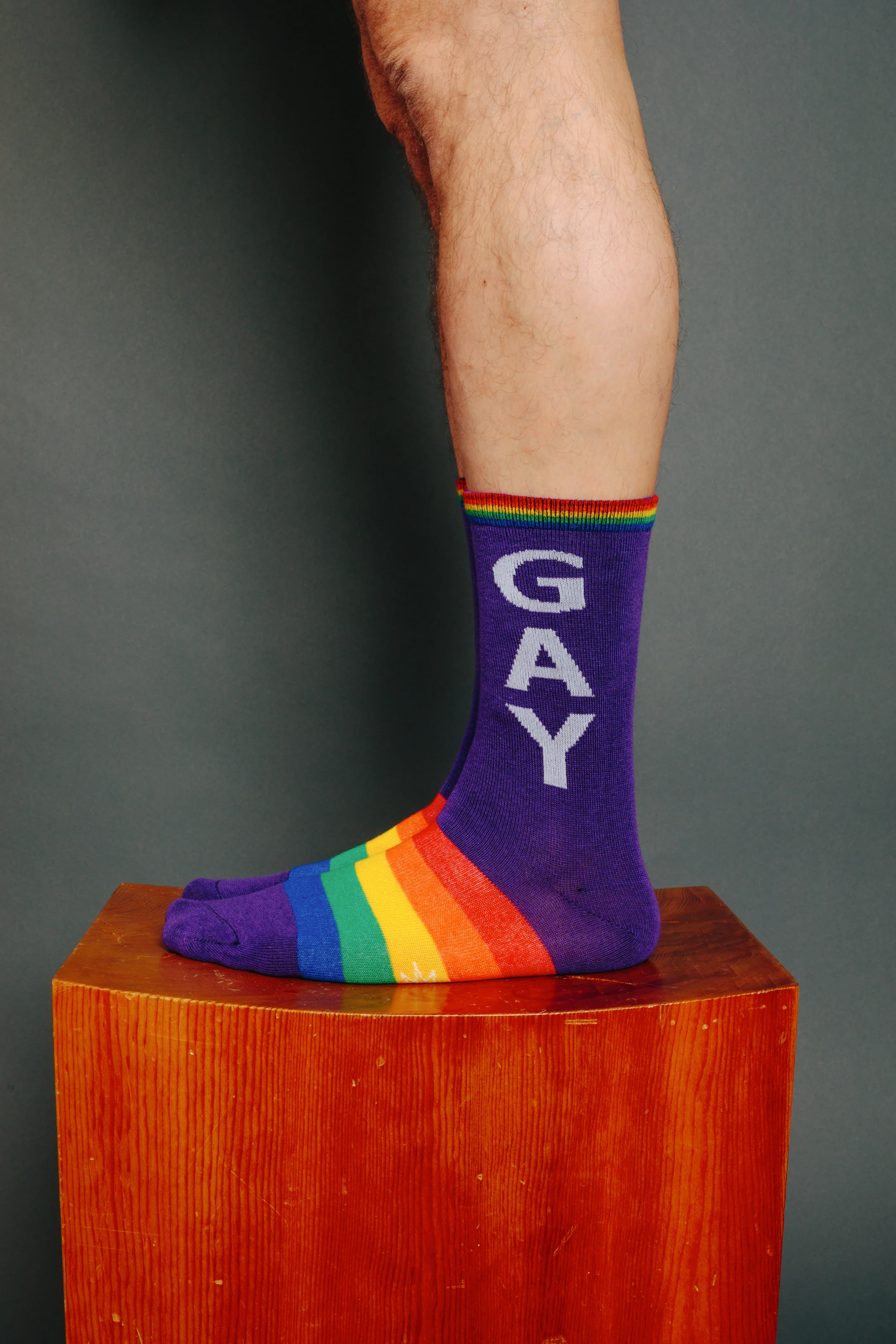gay SOCKS - Image 3