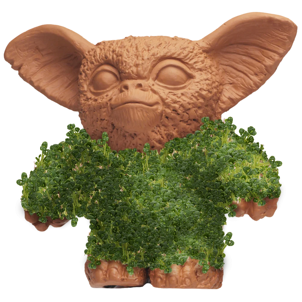 GIZMO CHIA PET - Image 2