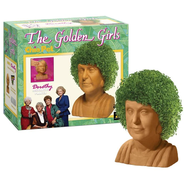GOLDEN GIRLS CHIA PET DOROTHY - Image 2