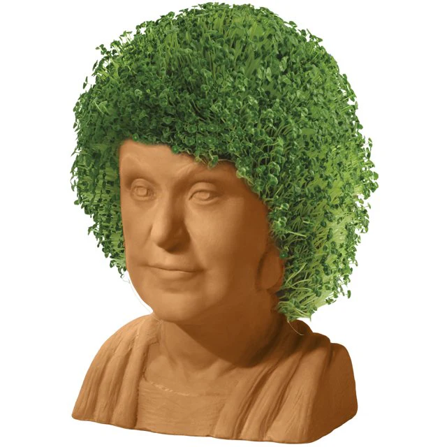 GOLDEN GIRLS CHIA PET DOROTHY - Image 3