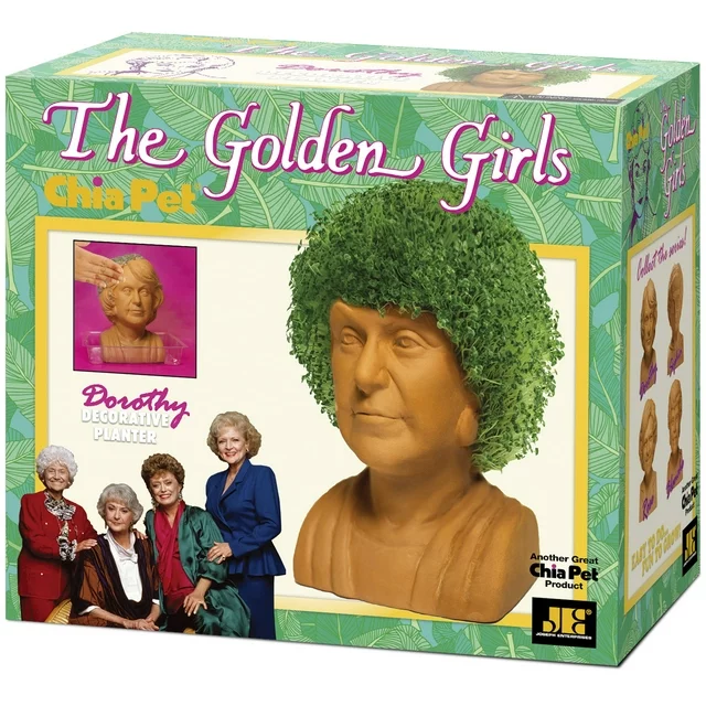 GOLDEN GIRLS CHIA PET DOROTHY - Image 5