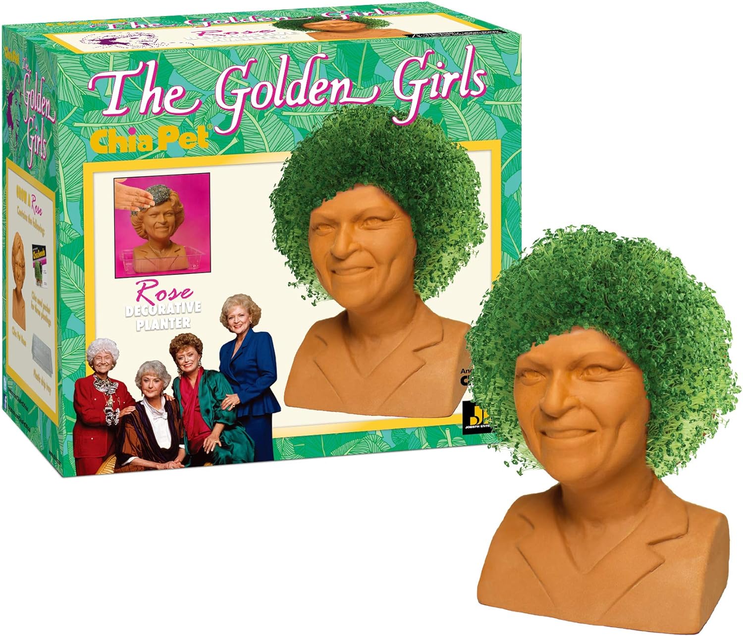 GOLDEN GIRLS CHIA PET ROSE - Image 2