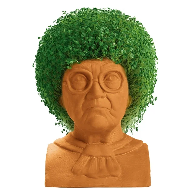 GOLDEN GIRLS CHIA PET SOPHIA - Image 4
