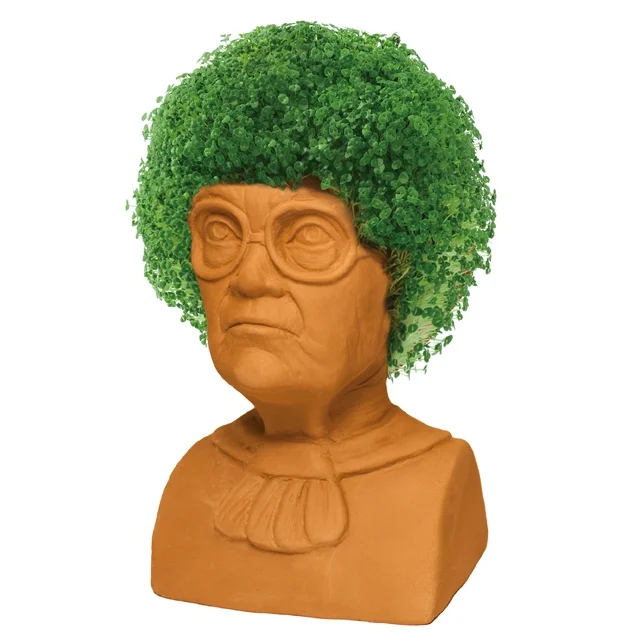 GOLDEN GIRLS CHIA PET SOPHIA - Image 6