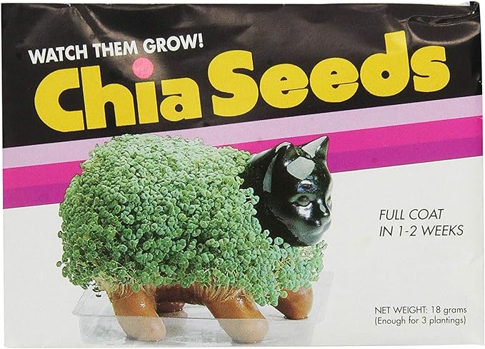 GOLDEN GIRLS CHIA PET SOPHIA - Image 7