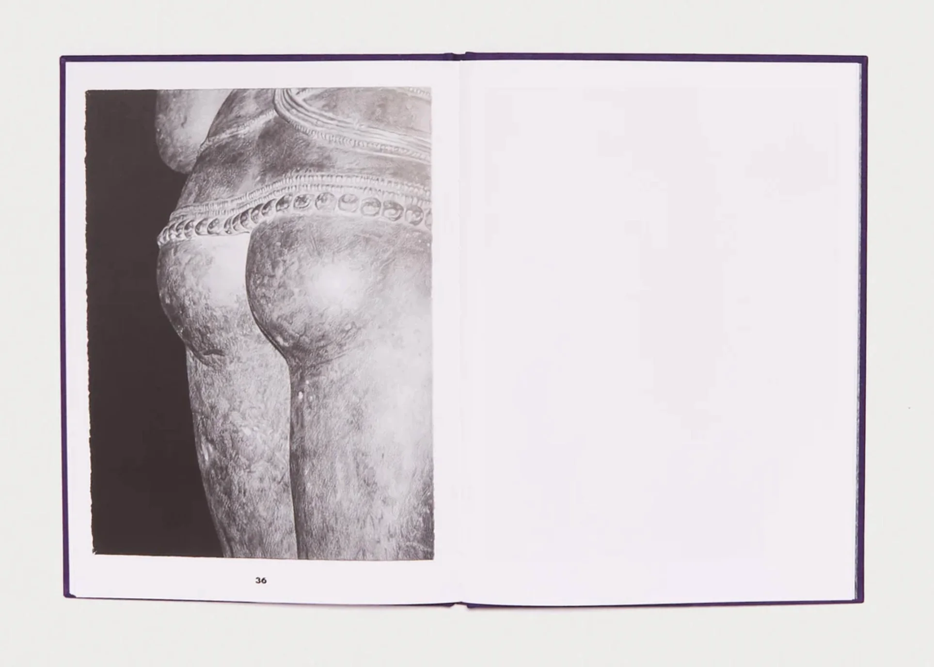 Great Ass at The Met - Image 4