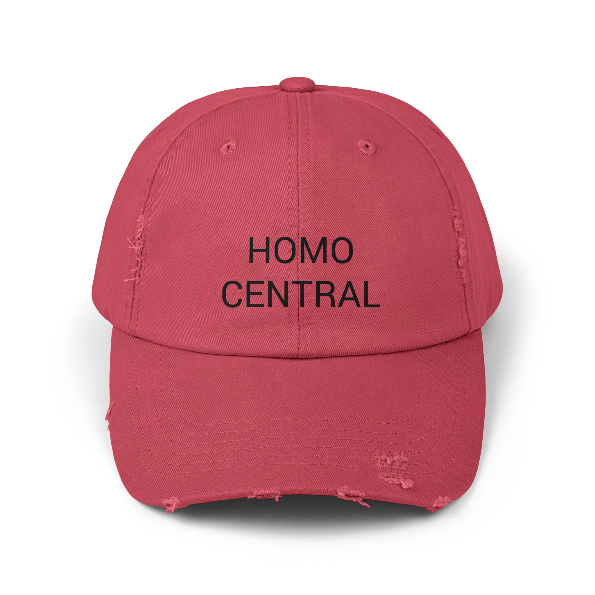 HOMO CENTRAL Distressed Cap in 6 colors - Image 2