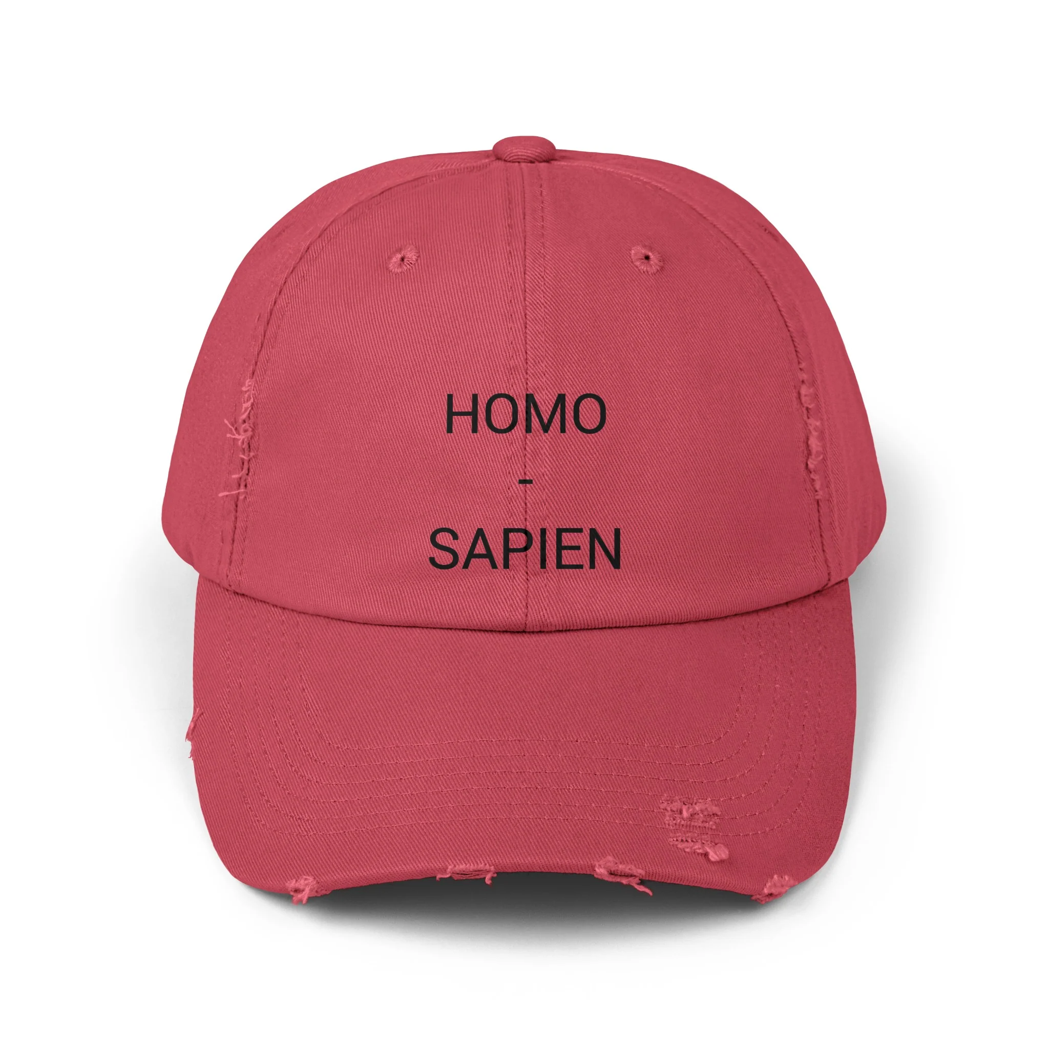 HOMO-SAPIEN Distressed Cap in 6 colors - Image 2