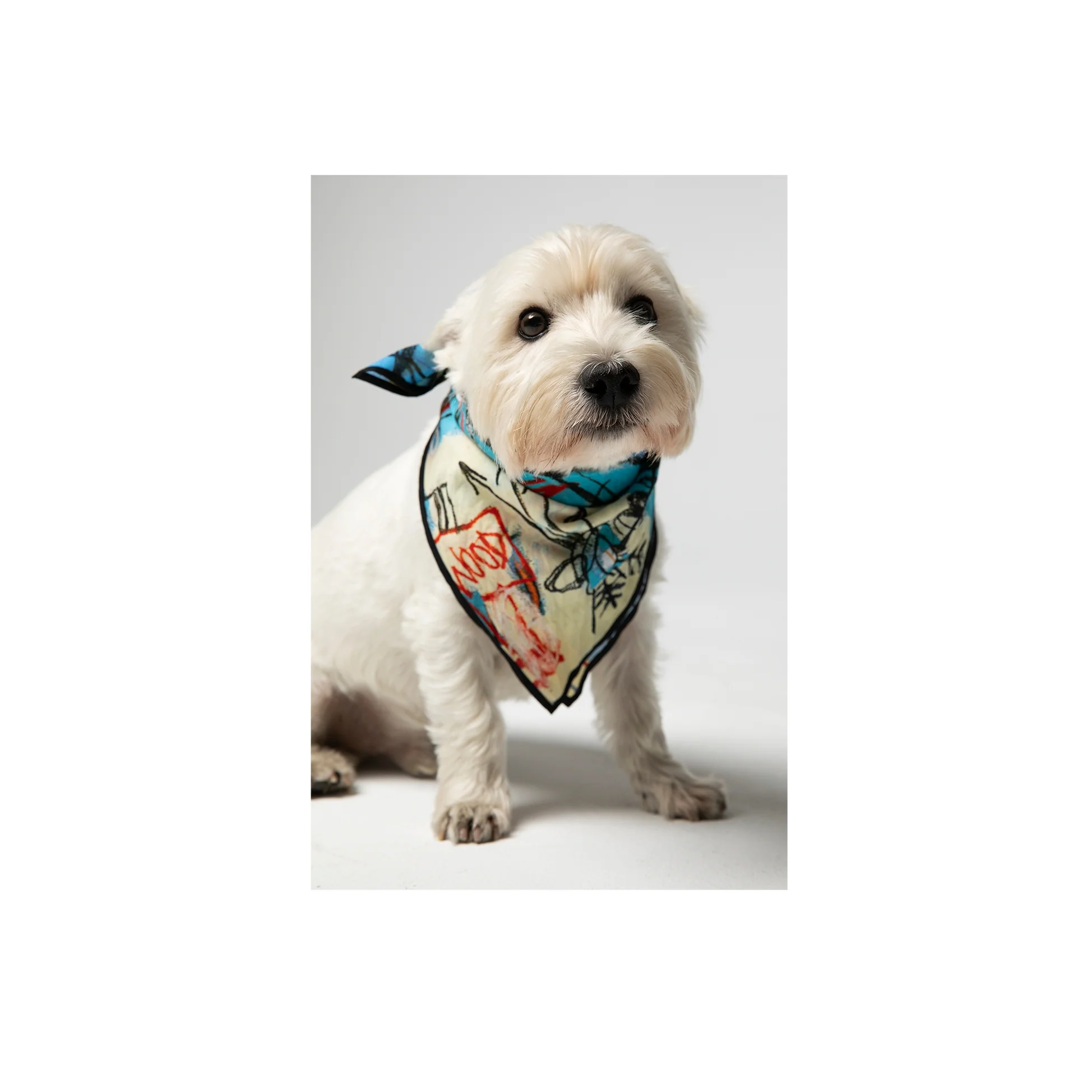 Jean-Michel Basquiat Bird On Money Bandana - Image 2