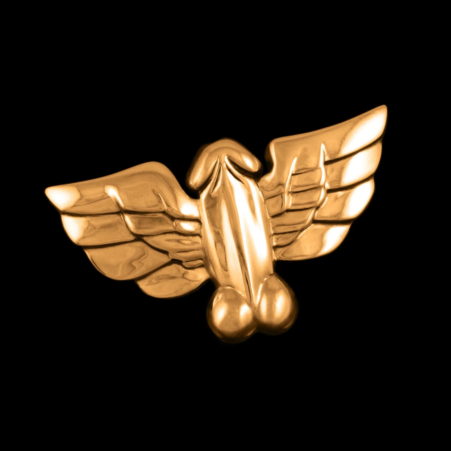 Jonathan Johnson x Tom of Finland FLYING COCK Shoe Link - Image 5
